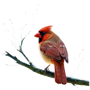 Cardinal Bird Vector Png 81 PNG Image