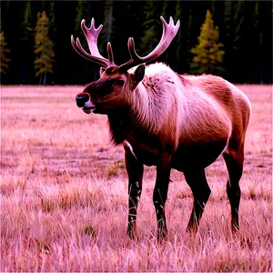 Caribou Feeding In Field Png Ien PNG Image