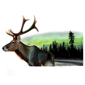 Caribou With Northern Aurora Png 06292024 PNG Image