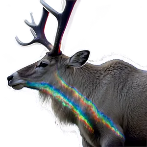 Caribou With Northern Aurora Png Ror PNG Image