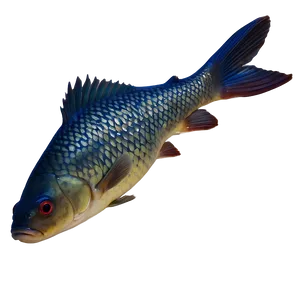 Carp Fish Shadow Png 26 PNG Image