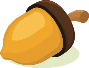 Cartoon Acorn Illustration PNG Image