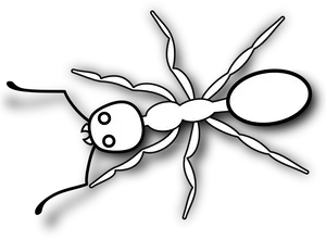 Cartoon Ant Illustration PNG Image