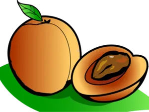 Cartoon_ Apricot_and_ Half_with_ Pit PNG Image