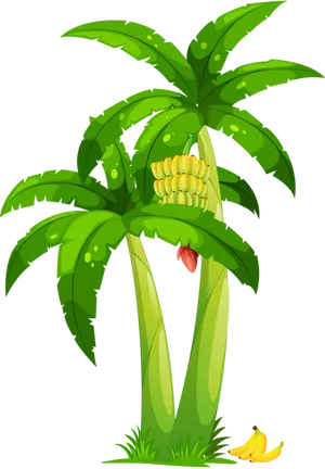 Cartoon Banana Tree With Fruit PNG Image