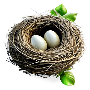 Cartoon Bird Nest Png Vfs25 PNG Image