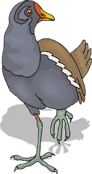 Cartoon Birdwith Distorted Shadow PNG Image