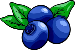 Cartoon Blueberries Illustration PNG Image