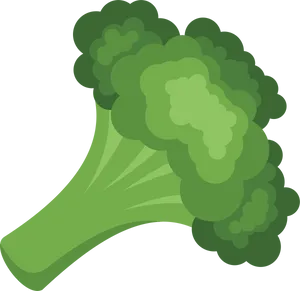 Cartoon Broccoli Graphic PNG Image