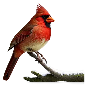 Cartoon Cardinal Bird Png 06252024 PNG Image