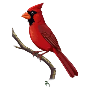 Cartoon Cardinal Bird Png Kwb PNG Image