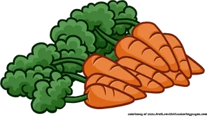 Cartoon Carrots Bunch Illustration PNG Image