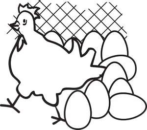 Cartoon Chicken Laying Eggs PNG Image