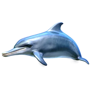 Cartoon Dolphin C PNG Image