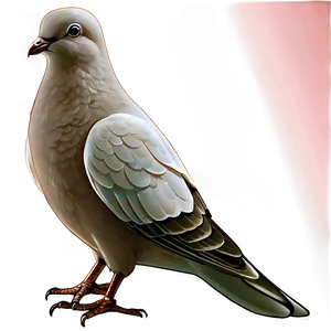 Cartoon Dove Clipart Png Ciy20 PNG Image