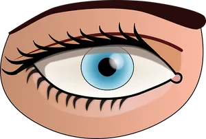 Cartoon Eye Illustration PNG Image