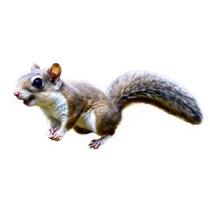 Cartoon Flying Squirrel Png Gar PNG Image