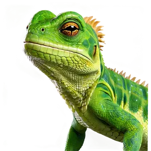 Cartoon Geico Lizard Png Hdo PNG Image