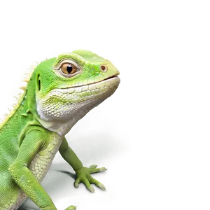 Cartoon Geico Lizard Png Uhm PNG Image