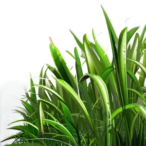 Cartoon Grass A PNG Image