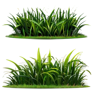 Cartoon Grass Clipart Png 06272024 PNG Image