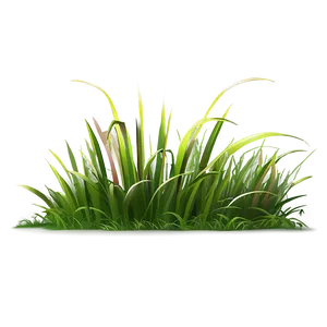 Cartoon Grass Clipart Png 06272024 PNG Image