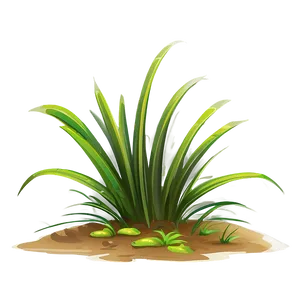 Cartoon Grass Tuft Png 85 PNG Image