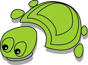 Cartoon Green Turtle Graphic PNG Image