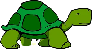 Cartoon Green Turtle Illustration PNG Image