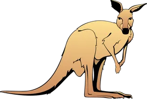 Cartoon Kangaroo Graphic PNG Image