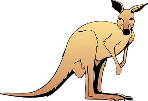 Cartoon Kangaroo Vector PNG Image