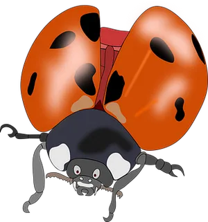 Cartoon Ladybug Illustration PNG Image