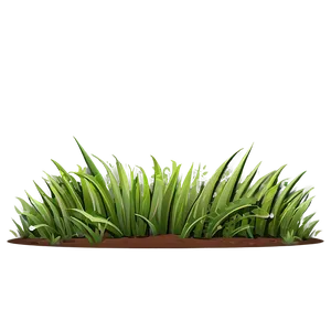 Cartoon Lawn Grass Png Vmo PNG Image