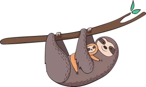 Cartoon Mother Slothand Baby Hangingon Branch PNG Image