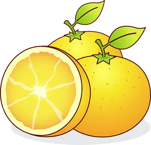 Cartoon Oranges Vector Illustration PNG Image