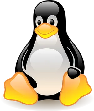 Cartoon Penguin Graphic PNG Image