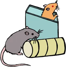 Cartoon Rats Playing PNG Image