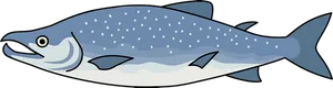 Cartoon Salmon Illustration PNG