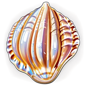 Cartoon Seashell Clipart Png 71 PNG Image