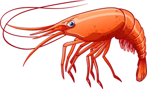 Cartoon Shrimp Illustration PNG Image