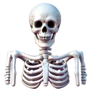 Cartoon Skeleton B PNG Image