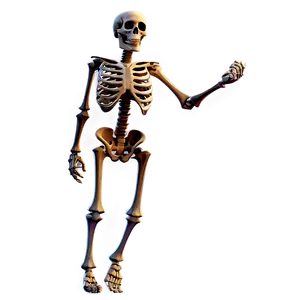 Cartoon Skeleton C PNG Image