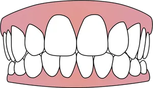 Cartoon Smile Teeth Illustration.png PNG Image