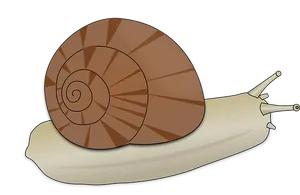 Cartoon Snail Illustration PNG Image