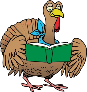 Cartoon Turkey Reading Book PNG Image