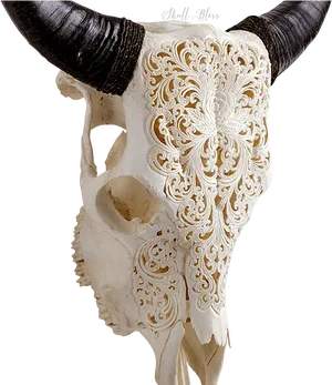 Carved Skullwith Horns PNG Image