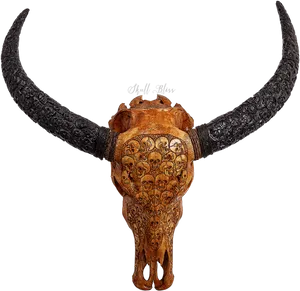 Carved Skullwith Long Horns PNG Image