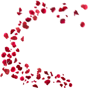 Cascading_ Red_ Rose_ Petals PNG Image