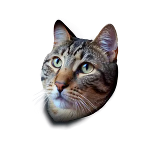 Cat Face In Space Png 95 PNG Image