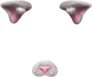 Cat Face Parts Transparent Background PNG Image